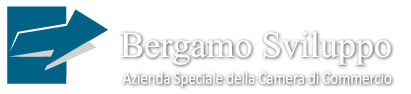 logo Bergamo Sviluppo